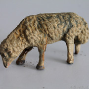 IMG-6681
