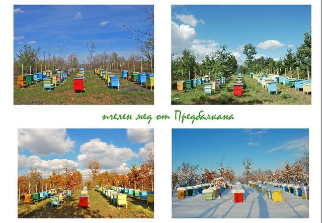 весна ,лето,осень ,зима.jpg