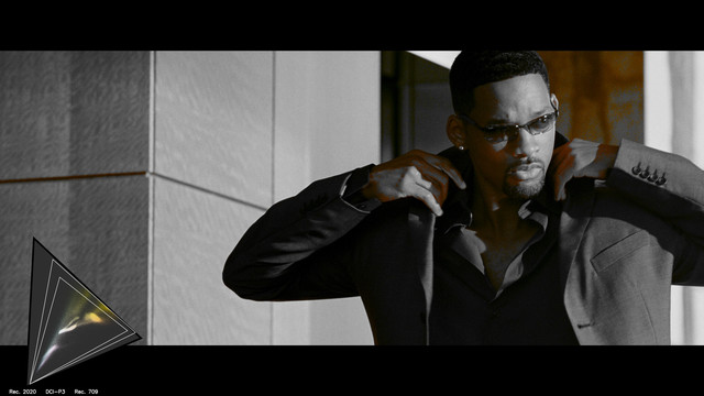 gamut-BAD20074