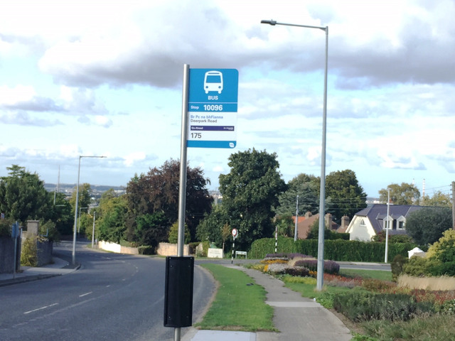 Bus Stop