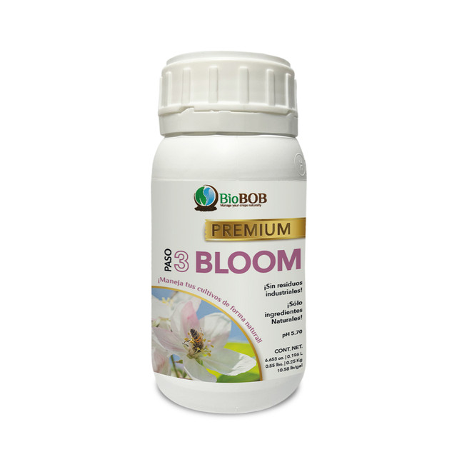 BLOOM-6.jpg