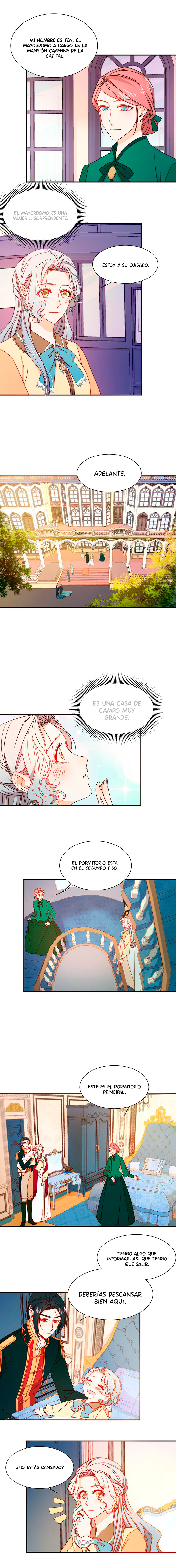 Tira-1-03