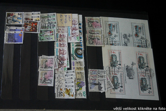 IMG-3387.jpg