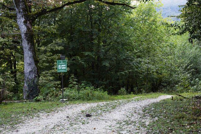DSC7117.jpg