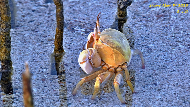 P1290087