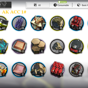 bag1
