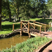 IMG-0776