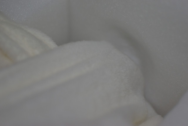 DSC-0286