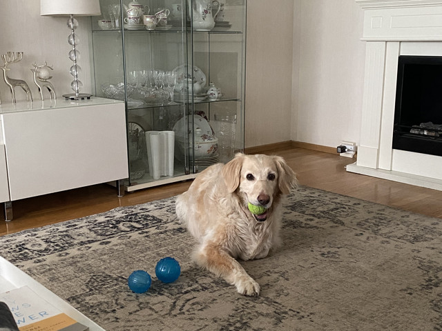 1-D8-DA59-B-D509-4755-B88-D-1-A4-CEC589-