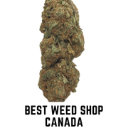 Best-Weed-Shop-Canada-38