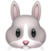 rabbit-face-1f430
