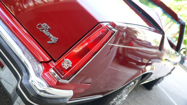 DSC02994.jpg