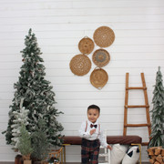 IMG-3691