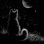 12ce4c562fe9