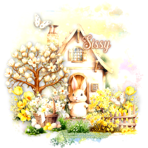Sissy 94ºBanner.png