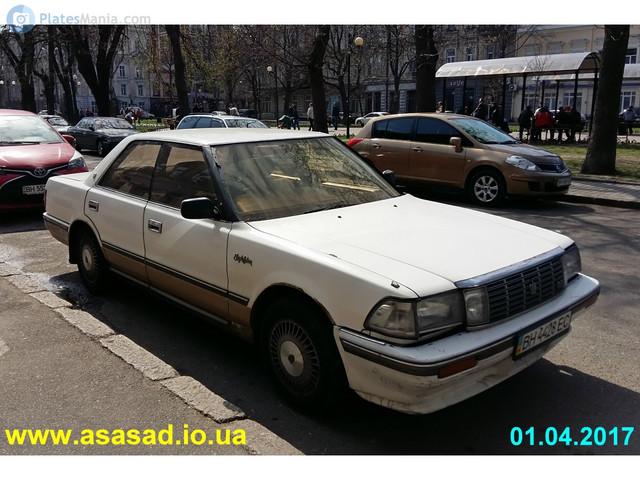 9650035.jpg