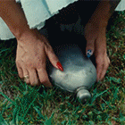 25.gif