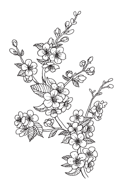 33fc36c4550f1fb10003f0dcfc2b5913.png