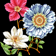 081b38741f52bc7e4adefb61b982bb05