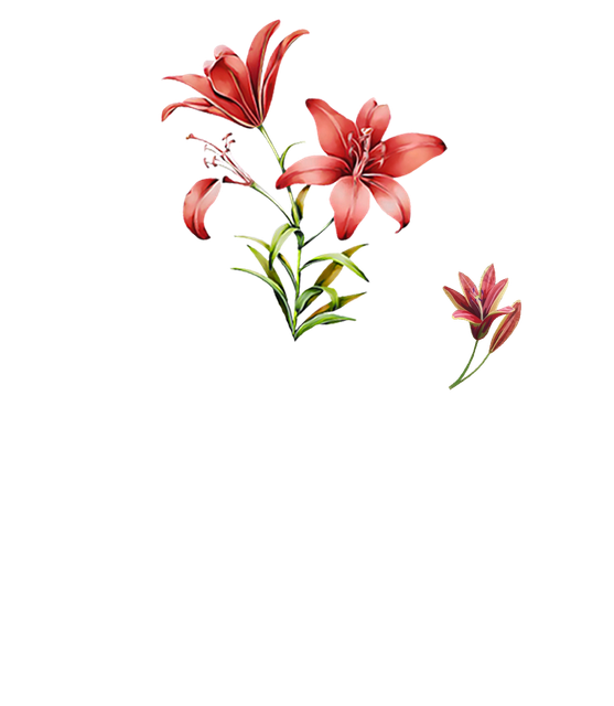 cdd883957bc822a4fc209d04ffa95ddf.png