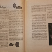 BR8 17