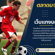 เว็บแทงบอล