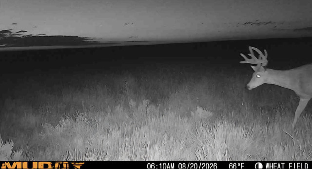 Screenshot 20260820 141802 Gallery