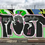 Graffiti artwork by taost