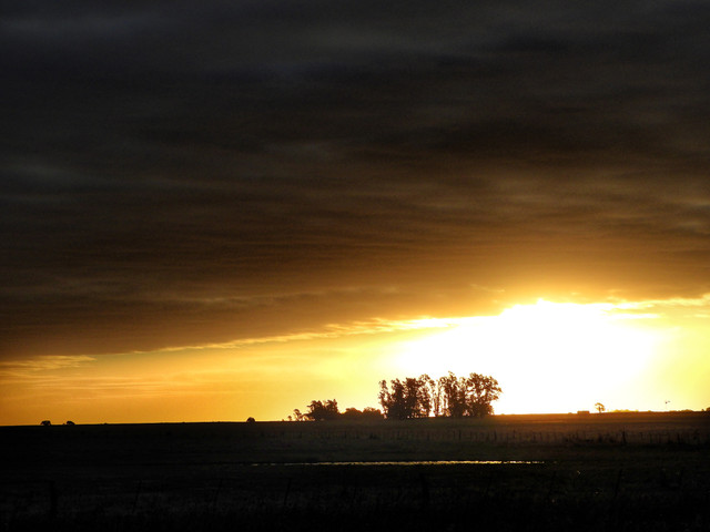 DSCN4803.jpg