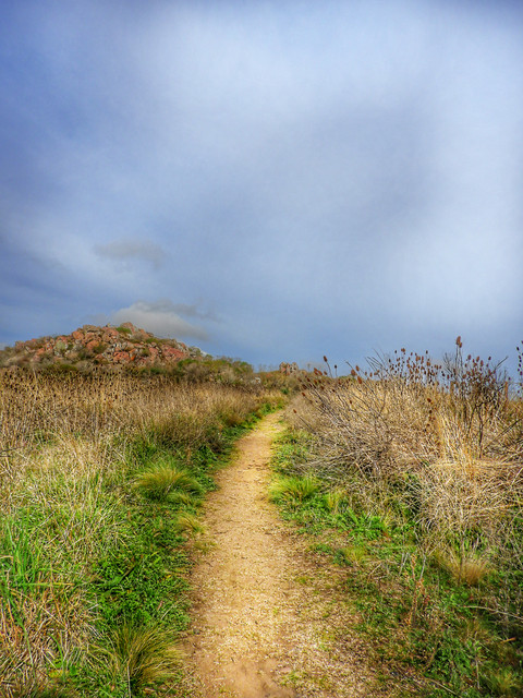 DSCN4934.jpg