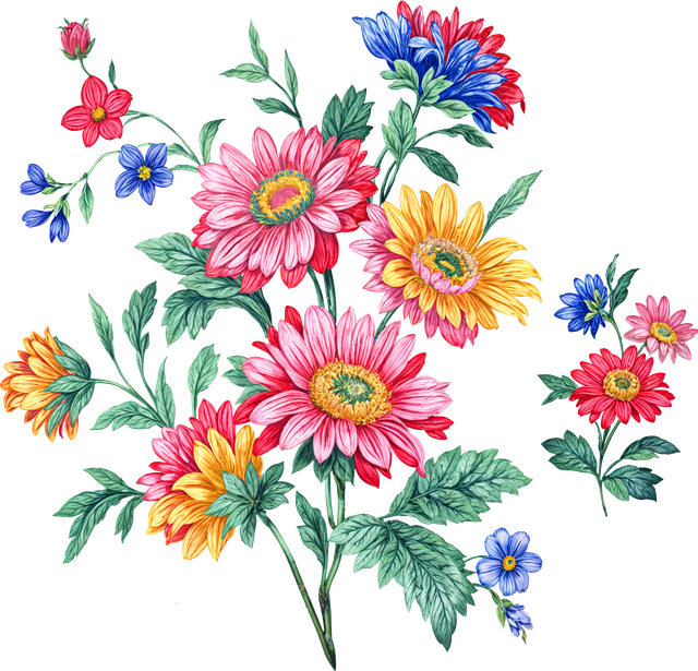 enhanced image 73.png