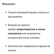 IMG-2066