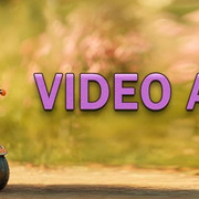 Videoart3