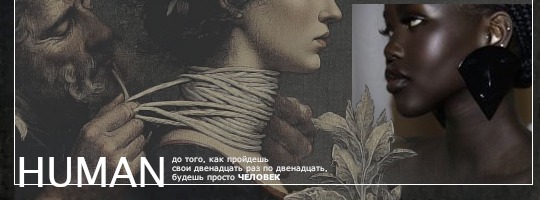 https://i.ibb.co/C3Skf438/upload.jpg