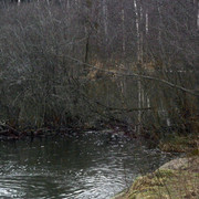 DSC8456-1
