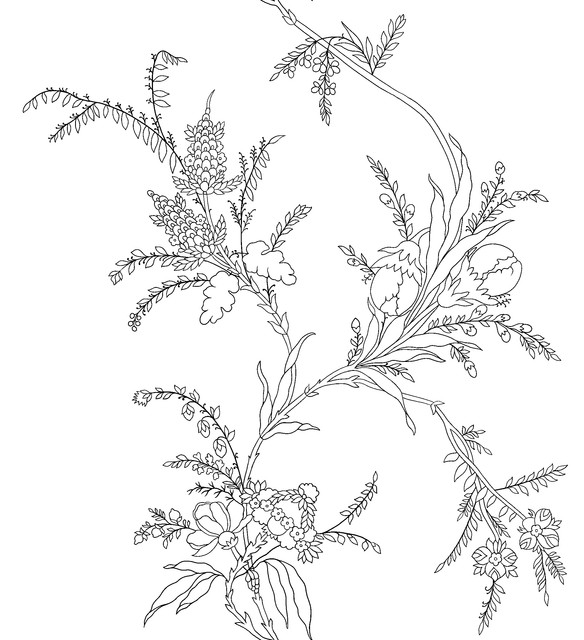 shutterstock 2260685773.jpg
