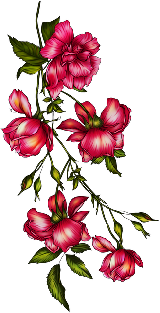 a19de27a63c26ce3e6315807280b89ef.png