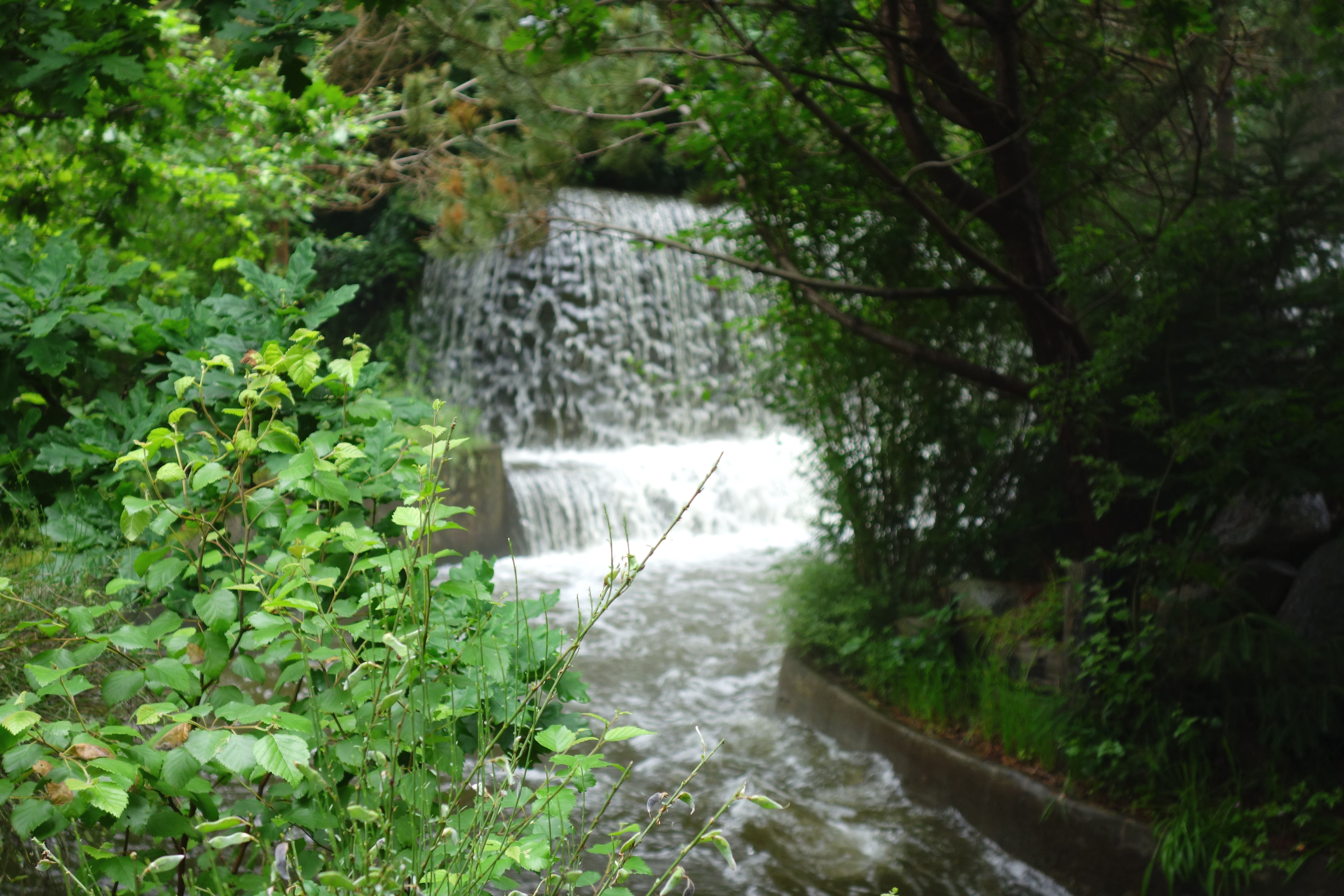 DSC09631
