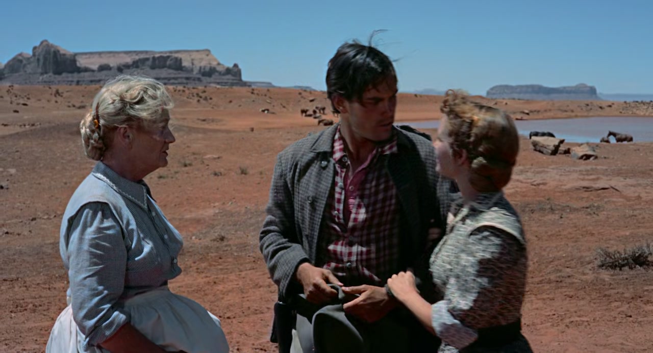 The Searchers Screenshot