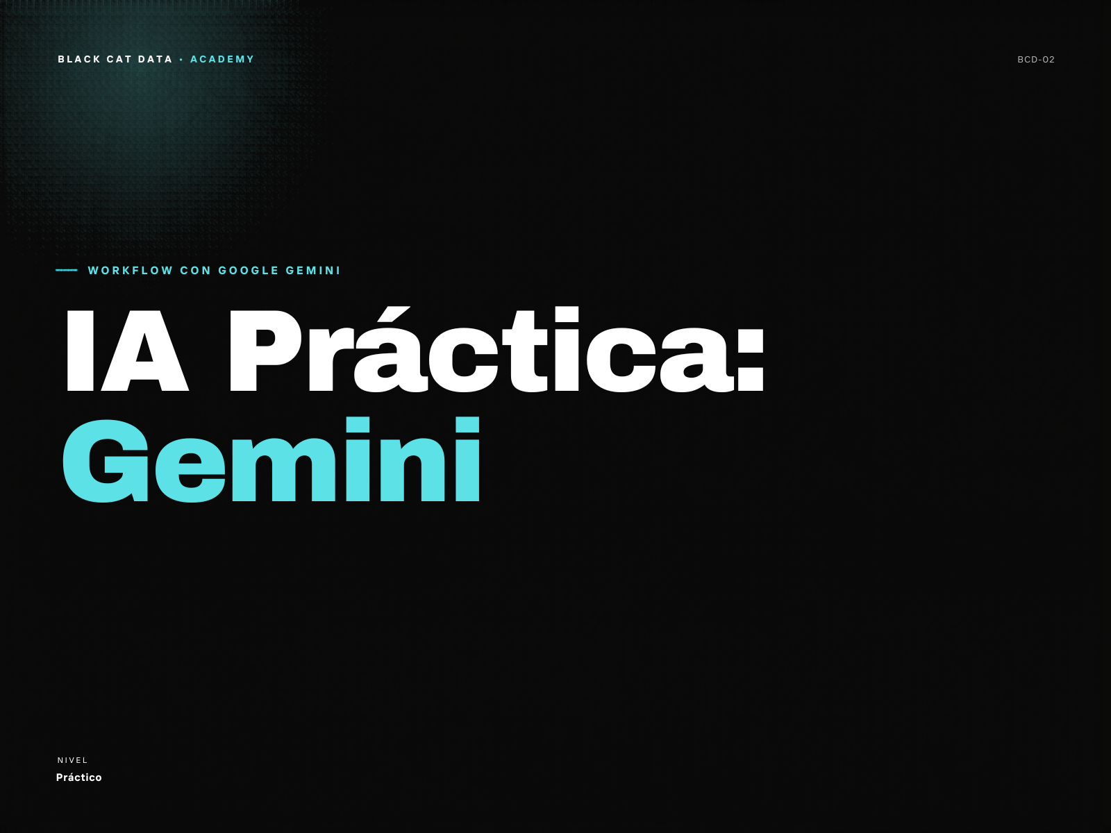 IA Práctica Gemini