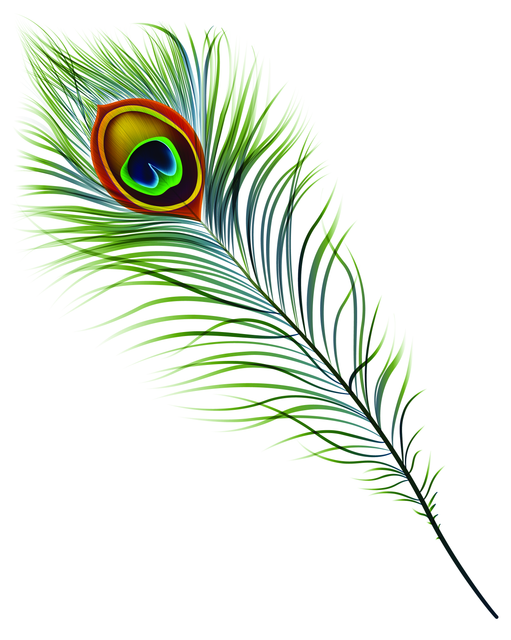 shutterstock 103428143.png