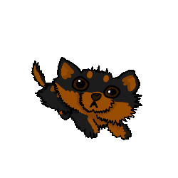 IMG 0427.gif