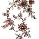 5a42eae1f278123880c78823e317a6f0