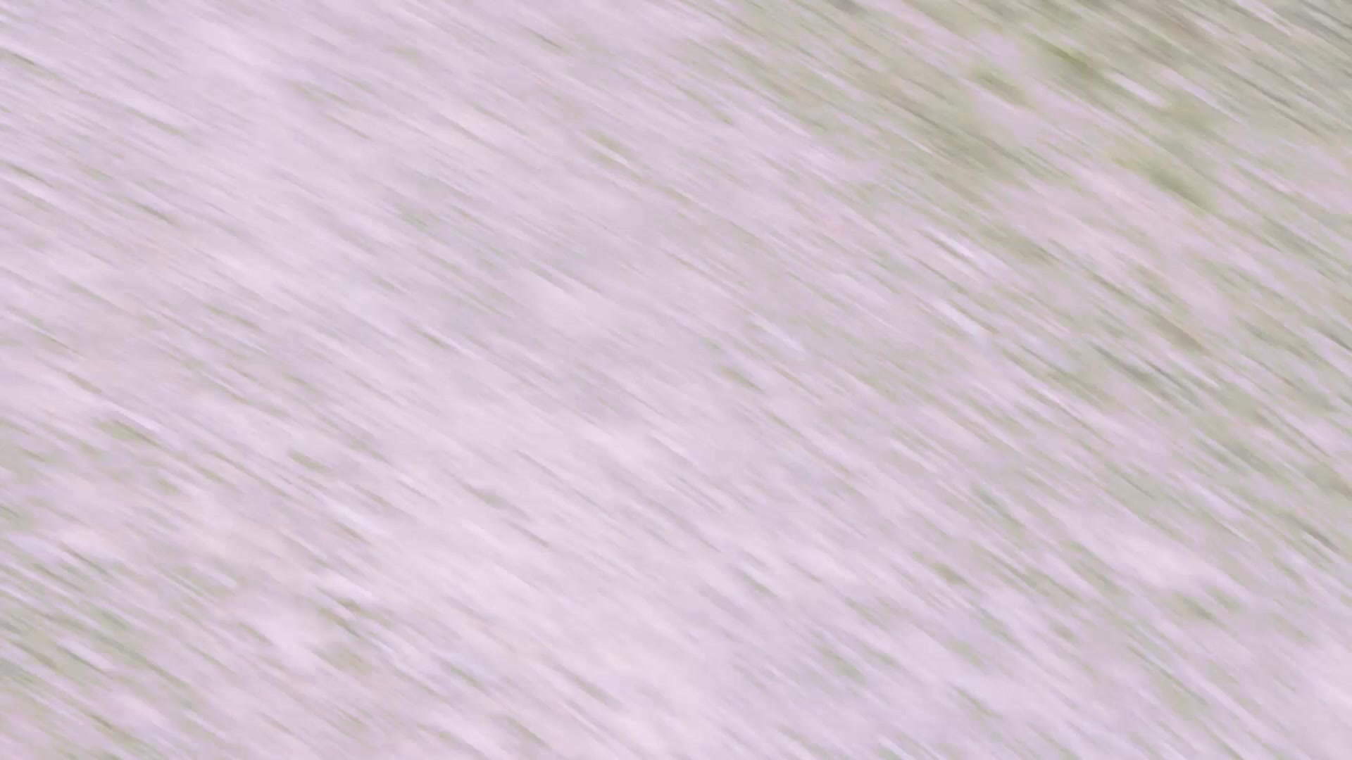 Movie cover image