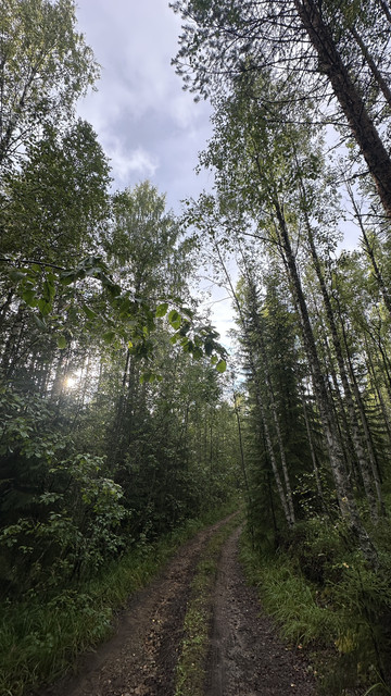 IMG 4803.jpg