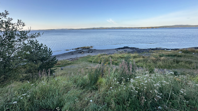 IMG 5894.jpg