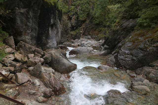 IMG 0296.jpg
