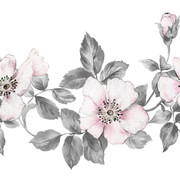shutterstock 1686347245