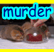IMG 0294.gif