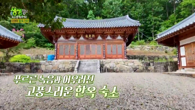 생생정보 쌍계사 래프팅템플스테이 추가 캡처 2